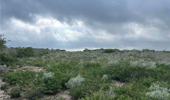 Tbd County Road 173, San Diego, TX 78332