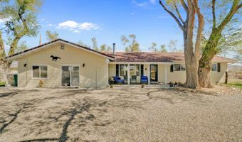 122 Hudson Aurora Rd, Smith, NV 89430