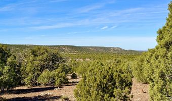 Kirkland DR 20 Acres, Concho, AZ 85924