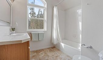 234 PETERSON Dr, Alma, CO 80440
