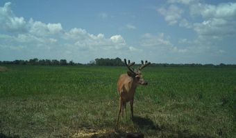 607 Hwy 69, Arma, KS 66712