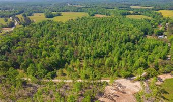 9402 Brooksie Thompson Rd, Bath Springs, TN 38311