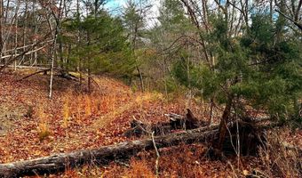 KING Street, Basye, VA 22810