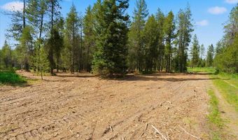 NKA 10-Ac E Parks Rd, Athol, ID 83801