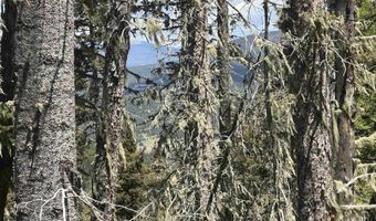 Lot 22 Hinz Drive, Angel Fire, NM 87710