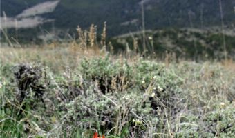 nhn Ranger Way lot Bvr 942-10, Belfry, MT 59008