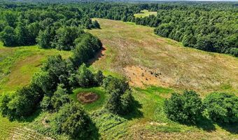 193 Ac Massa Rd, Baxter, TN 38544