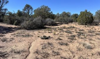 Home Stretch Road, Chino Valley, AZ 86323