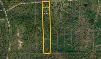 00 DELL, Bainbridge, GA 39819