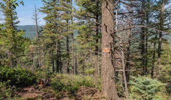 Lot 400 Vail Loop, Angel Fire, NM 87710