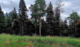 Lot 1220 Rainbow Overlook, Angel Fire, NM 87710