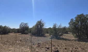 13 W Couchman Trl, Ash Fork, AZ 86320