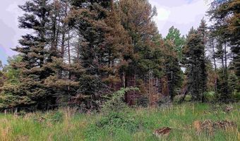 Lot 1220 Rainbow Overlook, Angel Fire, NM 87710