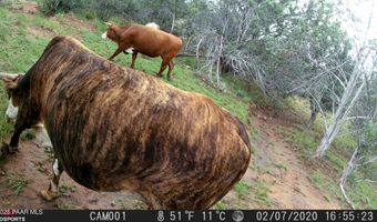 918 Wolf Rd, Ash Fork, AZ 86320