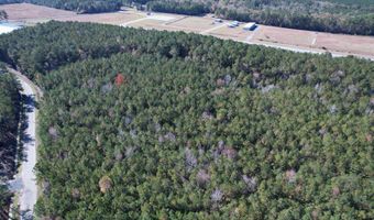 7 90 Acres-TBD Puncheon Creek Dr, Andrews, SC 29510