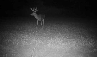 8752 HWY A, Almond, WI 54909