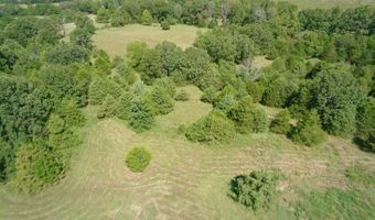 14442 State Highway Af, Ava, MO 65608