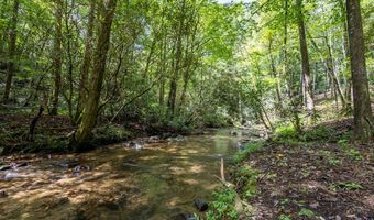 1034 Chestnut Flats Rd, Andrews, NC 28901