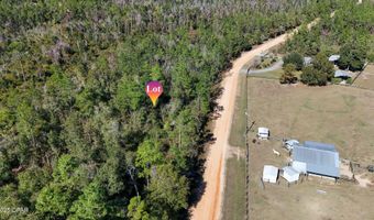 Monogahela Avenue, Alford, FL 32420