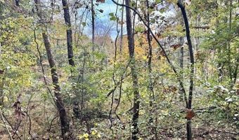 9156 Woodburn Allen Springs Rd, Alvaton, KY 42122