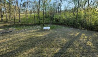 13033 Avilla Hills Cv, Alexander, AR 72002
