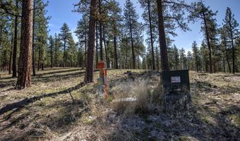 31760 HWY 10 W, Alberton, MT 59820