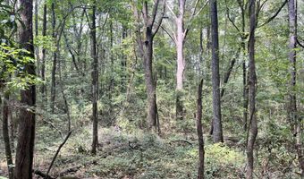 Brock Cir, Brandon, MS 39042