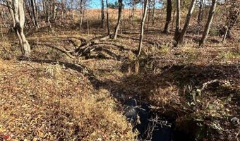 0 Lot 2B Police Tower Rd Lot 2B, Appomattox, VA 24522