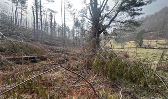 99999 White Pine Ln, Bakersville, NC 28705