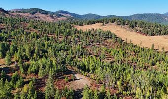 25 XX BURGESS Rd, Addy, WA 99101