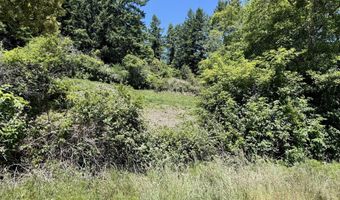 Thompson` Rd, Brookings, OR 97415