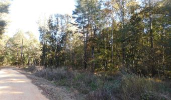 E-S Drive, Braxton, MS 39044