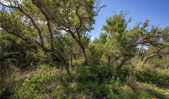 N McCampbell Street, Aransas Pass, TX 78336
