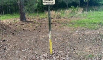 3 Lots Branch Loop, Big Sandy, TN 38221