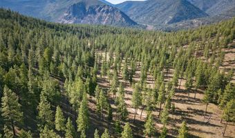13902 Highland Trl, Alberton, MT 59820