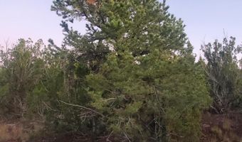 1 COUNTY ROAD N8155, Concho, AZ 85924