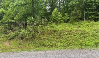 Tdb Cove Creek Rd, Bastian, VA 24314