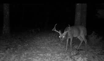 1900 Nelson, Antlers, OK 74525