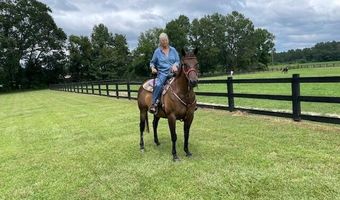 294 Nates Store Rd, Cameron, SC 29030