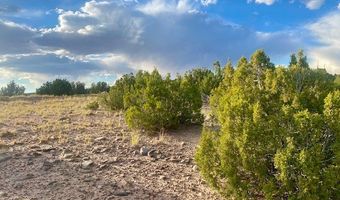 County Rd 156 lot 79, Abiquiu, NM 87510