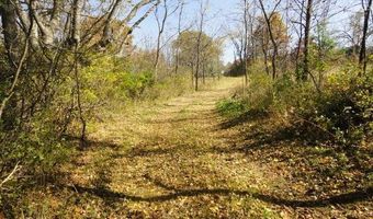 95 Acres Highway 13, Wisconsin Dells, WI 53965