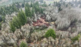 NE 197th Ct, Amboy, WA 98601