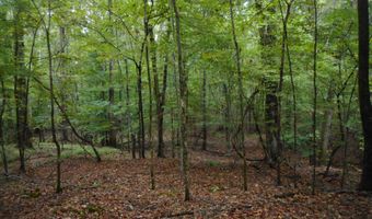 Anding Oil City Road, Bentonia, MS 39040