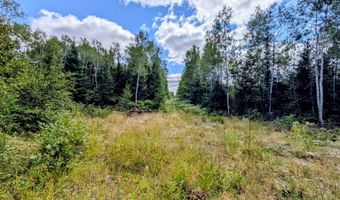 33 Acres Off Net Riv, Amasa, MI 49903
