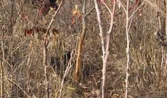 TBD CR 3605, Ada, OK 74820