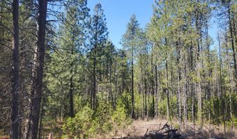 Nka Sheep Springs 10 acres, Athol, ID 83801