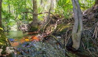 2120 15th Way, Bell, FL 32619