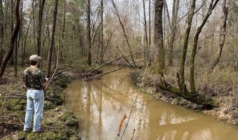 920 A Auburn Dr, Bogue Chitto, MS 39629