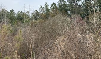 Tuten Road, Aurora, NC 27806