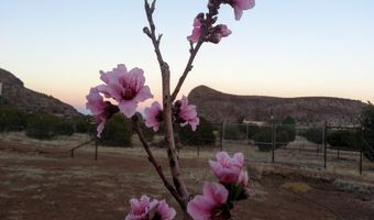 59 Wagon Rd, Alpine, TX 79830